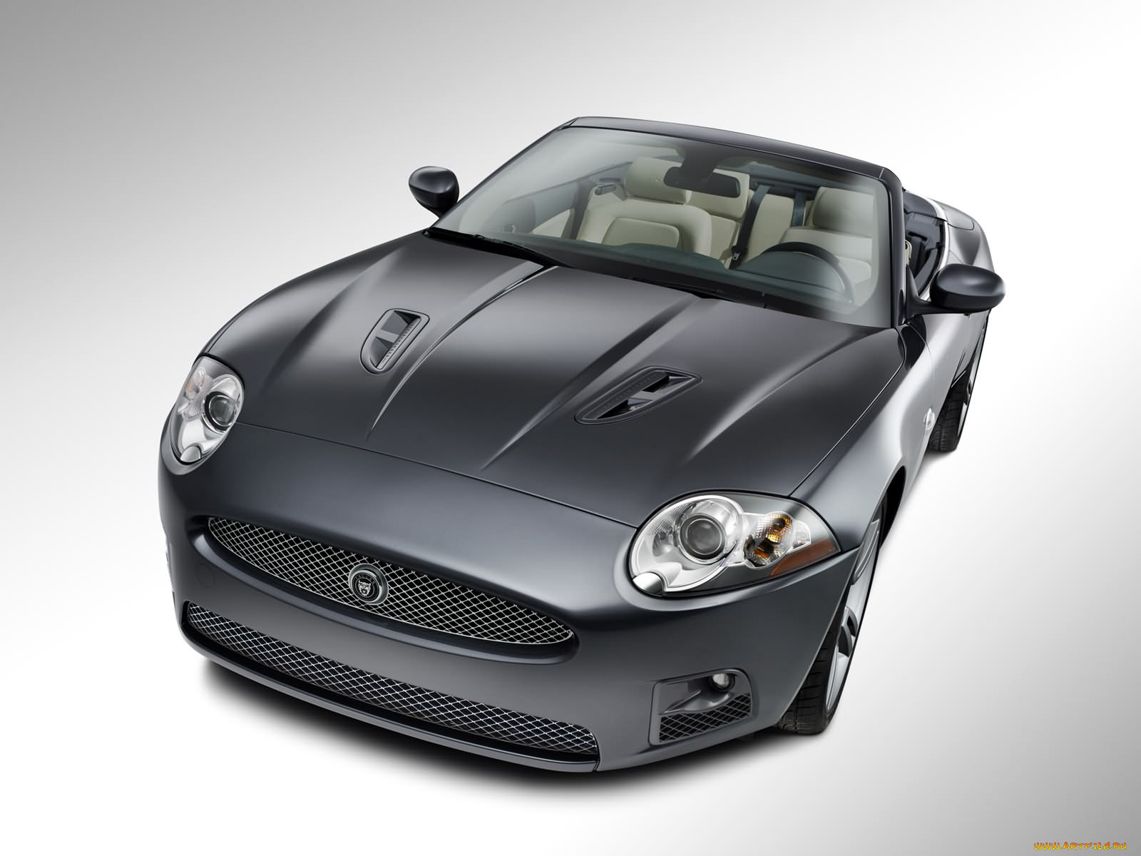 , jaguar